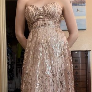 Rose Gold, Strapless, Midi Length Dress